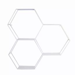 Hexagonal Metal Shelf with D-Ring (Pack of 1)